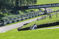 brands-hatch-photographs;brands-no-limits-trackday;cadwell-trackday-photographs;enduro-digital-images;event-digital-images;eventdigitalimages;no-limits-trackdays;peter-wileman-photography;racing-digital-images;trackday-digital-images;trackday-photos